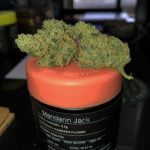 Mandarin Jack Bud