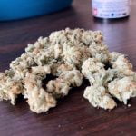 Strawberry Guava Bud