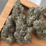 Sweeties Bud