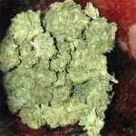 White Berry Bud