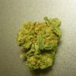 Blueberry AK Bud