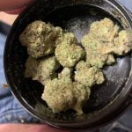 Bodega Bubblegum Bud