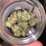 Face On Fire Bud