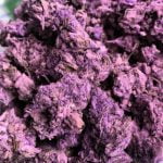 Sirius Black Strain Marijuana Plant