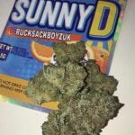 Sunny D Bud