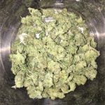 Thai Strain Marijuana Plant