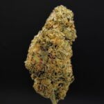 Ice Cream Cookies Bud