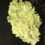 Super Sour Diesel Bud