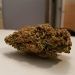 Alien Rock Candy Bud