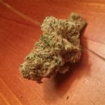 Dark Side of the Moon Bud