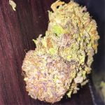 Grape Kush Bud