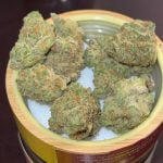 Grape Lime Ricky Bud