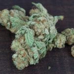 Blueberry Diesel Bud