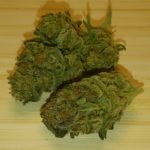 California Orange Bud