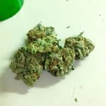 LA OG Bud