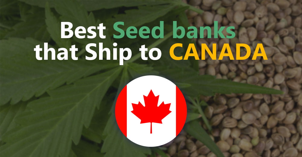 Best seedbanks that ship-canada