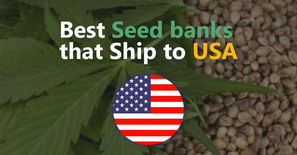 Seed Banks | Nova Seed Bank - Best Seed Banks In The United States 300