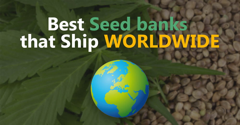 Best seedbanks that ship-worldwide