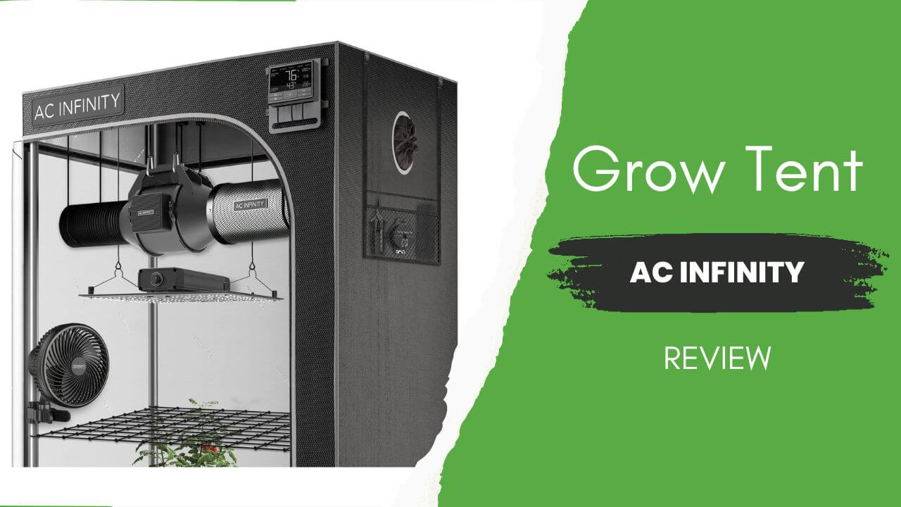 AC Infinity grow tent review featured image