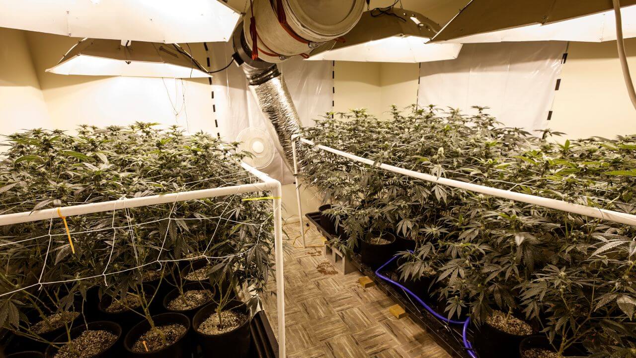 Best Carbon Filters Featured Image