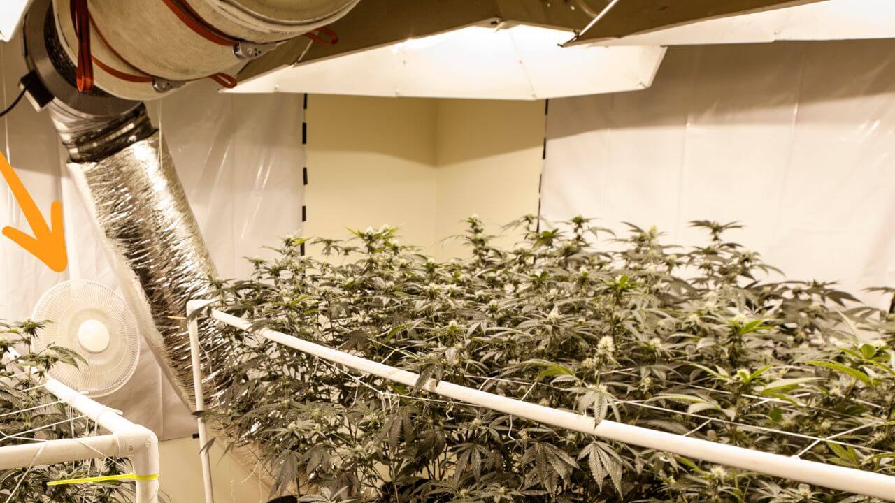 Best Fan for Grow Tent Featured Image