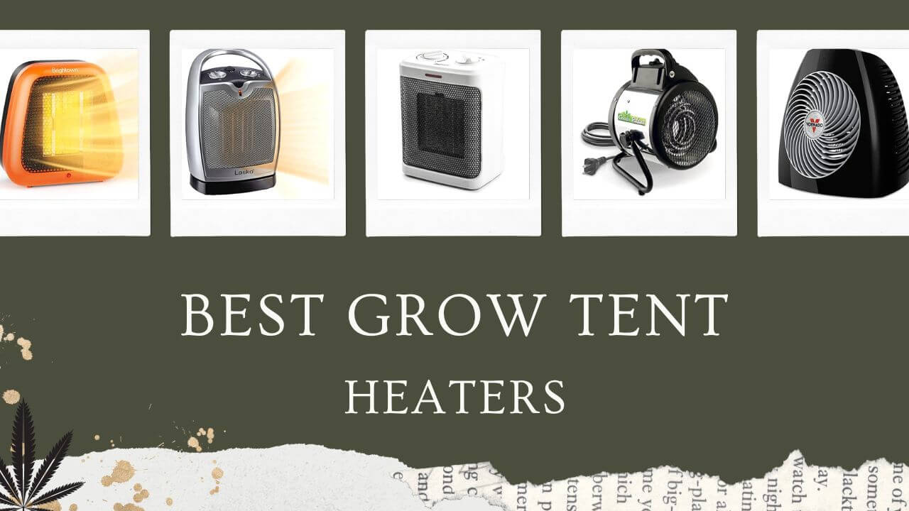 Best Grow Tent Heaters on the Market Featured Image