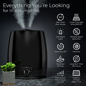 Everlasting Comfort Cool Mist
