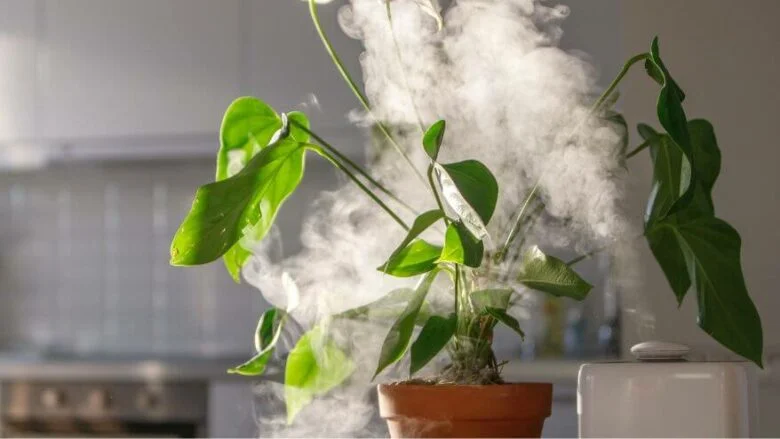 Grow Room Humidifier