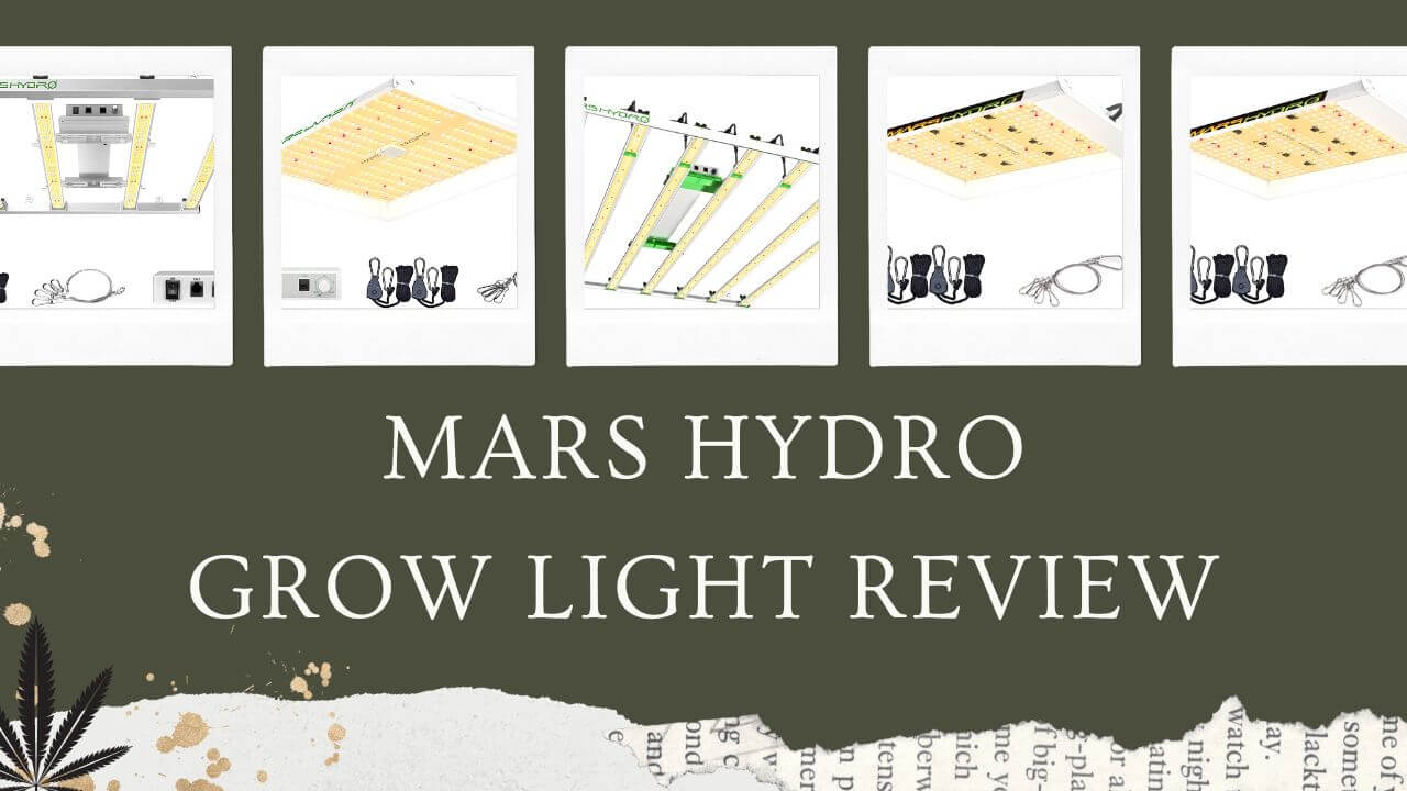 Mars Hydro Grow Light Featured Image