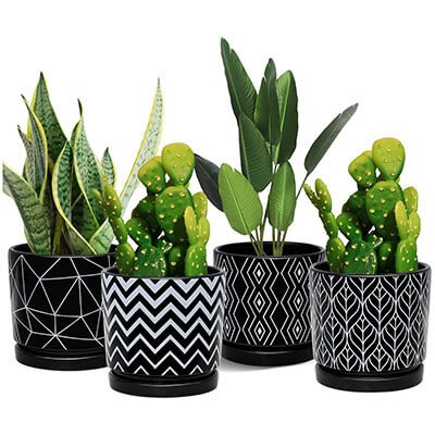 Ton Sin Black Ceramic