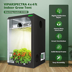 ViparSpectra Indoor