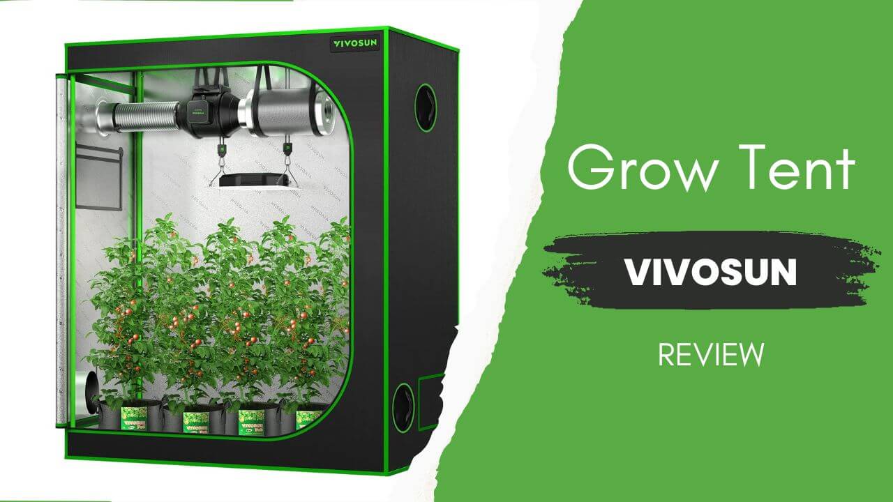Vivosun Grow tent review Featured Image