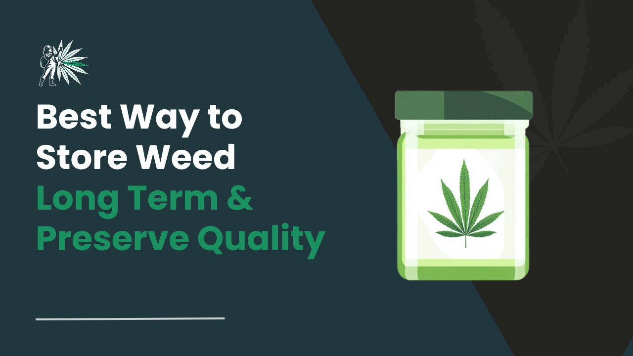 Best Way to Store Weed Long Term & Preserve Quality