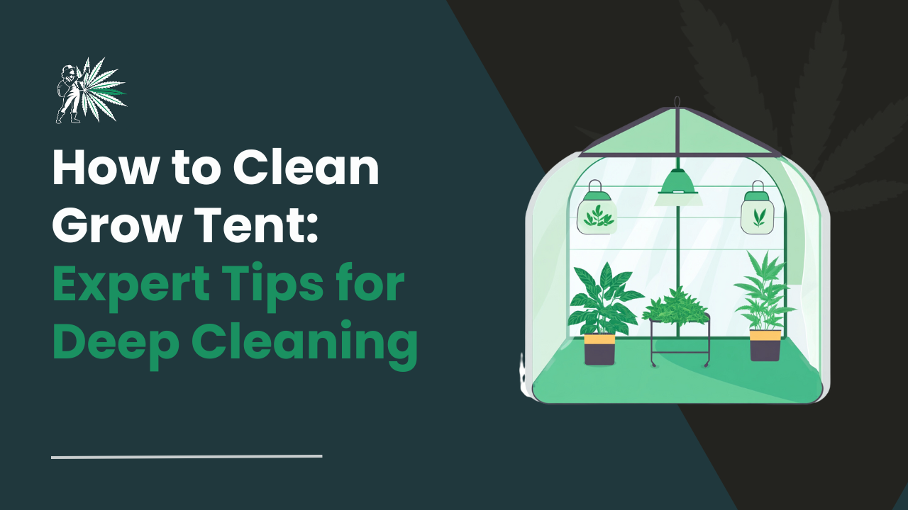 How to Clean Grow Tent_ Expert Tips for Deep Cleaning