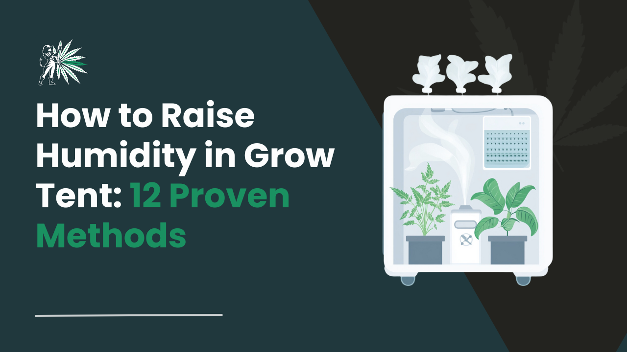 How to Raise Humidity in Grow Tent_ 12 Proven Methods