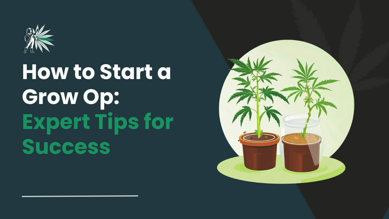 How to Start a Grow Op_ Expert Tips for Success