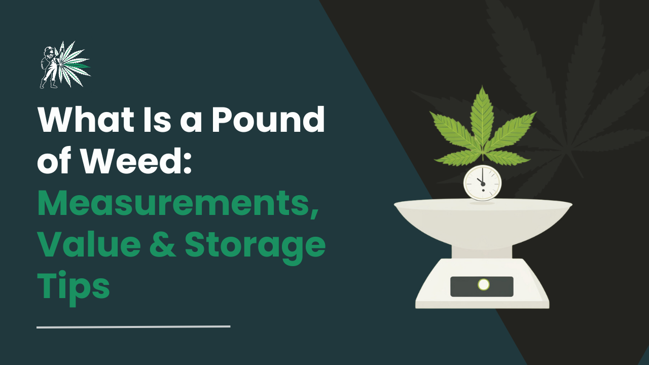 What Is a Pound of Weed_ Measurements, Value & Storage Tips
